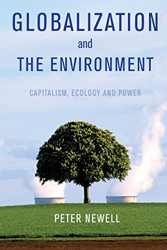 Beispielbild fr Globalization and the Environment: Capitalism, Ecology and Power zum Verkauf von medimops