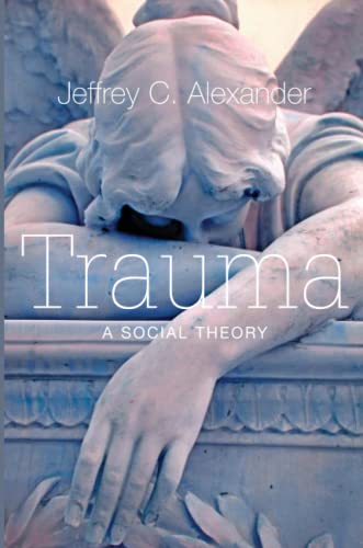 Beispielbild fr Trauma : A Social Theory zum Verkauf von Better World Books