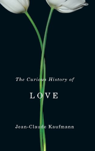 Beispielbild fr The Curious History of Love zum Verkauf von Chiron Media