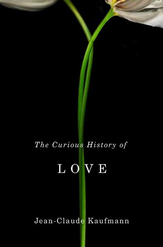 Imagen de archivo de The Curious History of Love a la venta por WorldofBooks