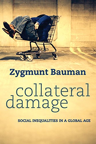 Imagen de archivo de Collateral Damage: Social Inequalities in a Global Age a la venta por Zoom Books Company