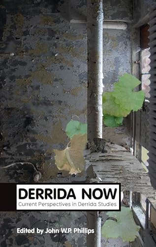 Stock image for Derrida Now for sale by Blackwell's