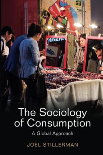 Imagen de archivo de The Sociology of Consumption : A Global Approach a la venta por Better World Books