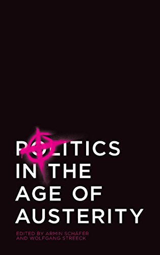 9780745661681: Politics in the Age of Austerity