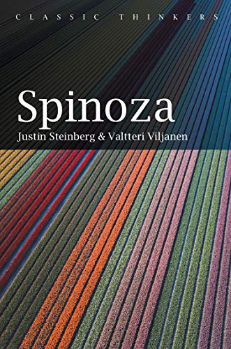 Stock image for Spinoza Format: Cloth for sale by INDOO