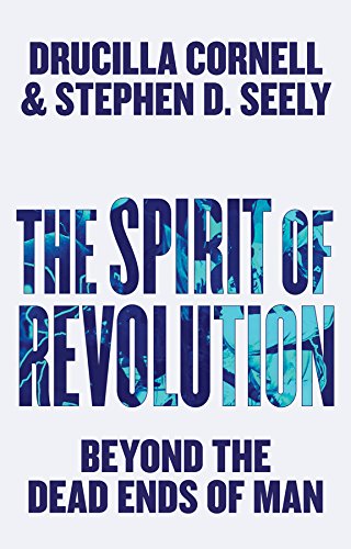 Beispielbild fr The Spirit of Revolution zum Verkauf von Blackwell's