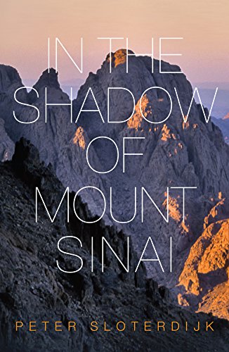 Beispielbild fr In the Shadow of Mount Sinai zum Verkauf von Better World Books