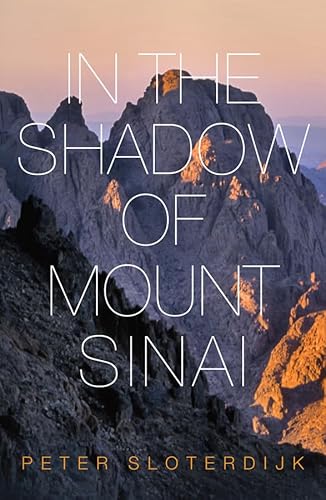 Imagen de archivo de In the Shadow of Mount Sinai a la venta por Better World Books