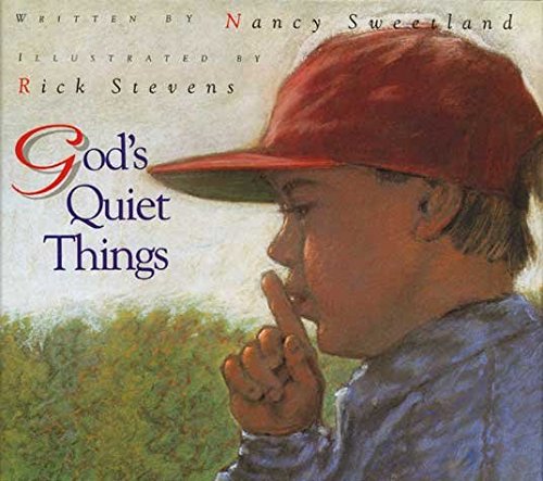 9780745942681: God's Quiet Things