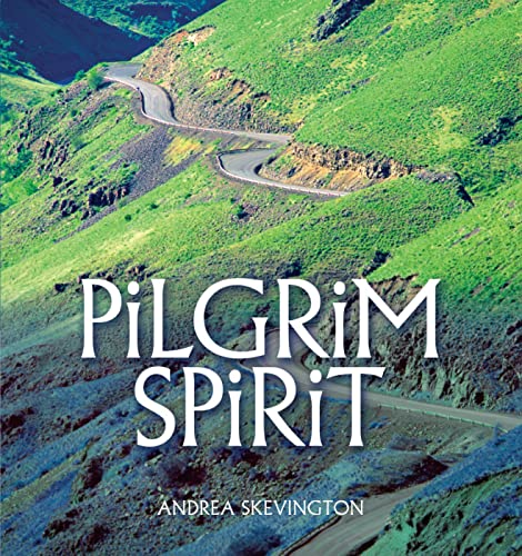 Stock image for The Pilgrim Spirit for sale by WorldofBooks