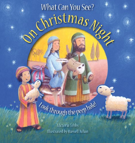 Stock image for What Can You See on Christmas Night? for sale by WorldofBooks