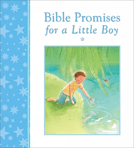 Stock image for Bible Promises for a Little Boy for sale by PBShop.store US