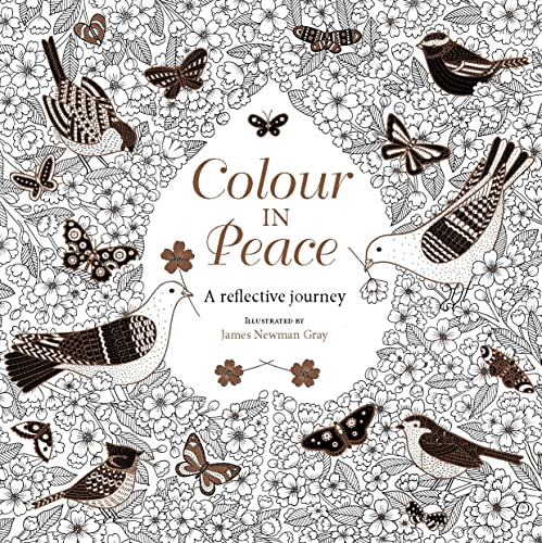 Beispielbild fr Colour in Peace: A reflective journey zum Verkauf von Buchpark