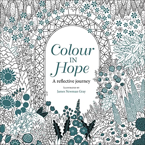 Beispielbild fr Colour in Hope: A reflective journey zum Verkauf von WorldofBooks