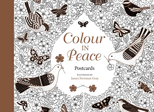9780745980133: Colour in Peace Postcards: A Reflective Journey