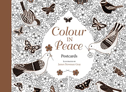 Stock image for Colour in Peace Postcards: A Reflective Journey for sale by Books From California