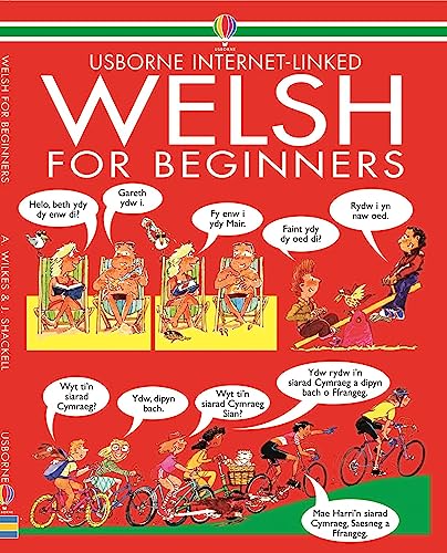 Beispielbild fr Welsh for Beginners (Language for Beginners) zum Verkauf von Reuseabook
