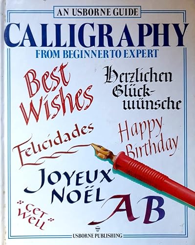 9780746004272: Calligraphy: From Beginner to Expert (Practical Guides)