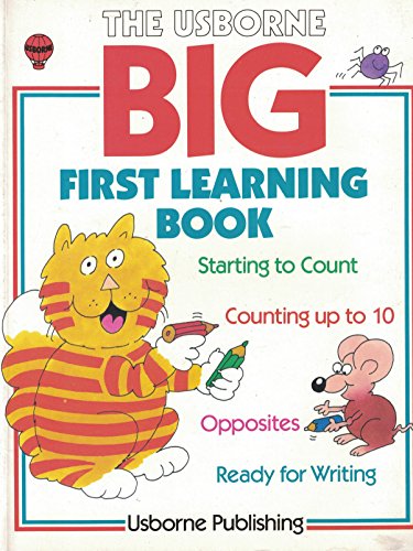 Stock image for The Usborne Big First Learning Book for sale by AwesomeBooks
