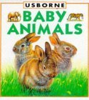 9780746019764: Baby Animals (Young Nature Board Books)