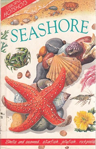 Stock image for Seashore (Usborne Hotshots) for sale by AwesomeBooks