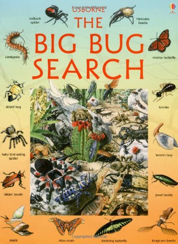 Imagen de archivo de The Big Bug Search (Look/Puzzle/Learn Series) a la venta por Gulf Coast Books