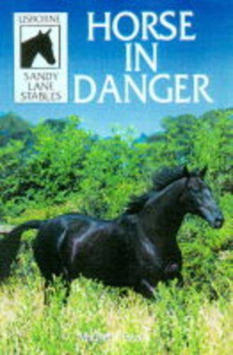 9780746033289: Horse in Danger (Sandy Lane Stables)