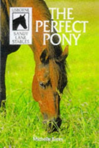 9780746033296: The Perfect Pony: 8 (Sandy Lane Stables)