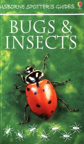 Stock image for Bugs and Insects (Usborne New Spotters' Guides) for sale by WorldofBooks