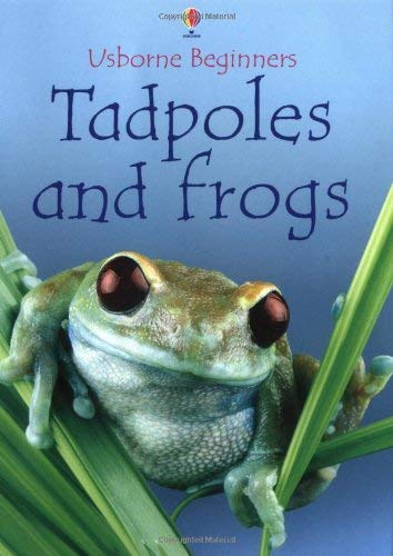 Imagen de archivo de Tadpoles and Frogs (Usborne Beginners Series) a la venta por Once Upon A Time Books