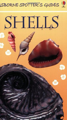 Beispielbild fr Shells (Usborne Spotter's Guide) zum Verkauf von WorldofBooks