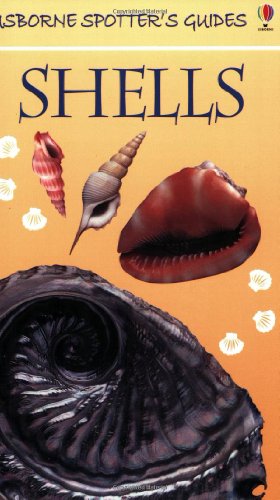 Stock image for Shells (Usborne Spotter's Guide) for sale by WorldofBooks