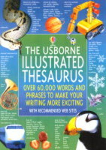 9780746046104: The Usborne Illustrated Thesaurus (Usborne Illustrated Dictionaries)