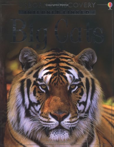 Stock image for Big Cats (Internet-linked "Discovery" Programme S.) for sale by WorldofBooks