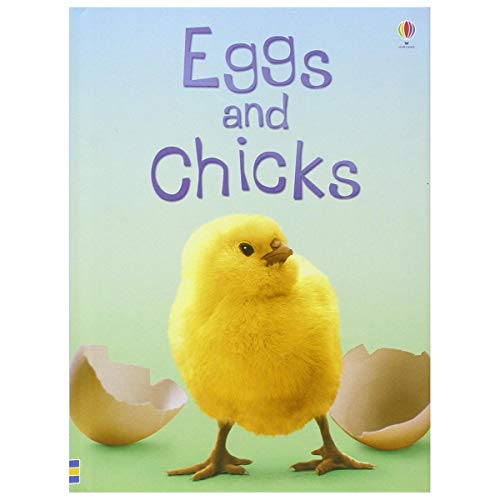 9780746047026: Eggs and Chicks