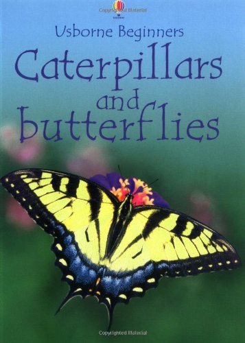 Stock image for Caterpillars and Butterflies for sale by Better World Books Ltd