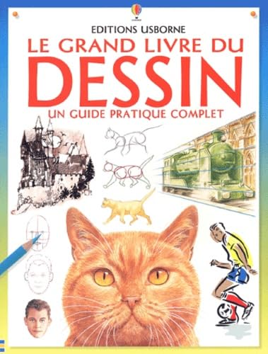 Stock image for Le Grand Livre Du Dessin : Un Guide Pratique Complet for sale by RECYCLIVRE