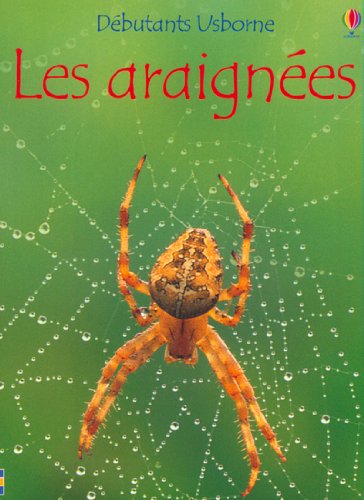 9780746049860: Dbutants Usborne