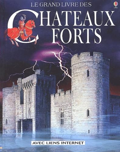 Imagen de archivo de LE GRAND LIVRE DES CHATEAUX FORTS a la venta por .G.D.