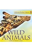 9780746051498: Wild Animals (Usborne Pocket Nature S.)