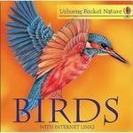 Stock image for Birds (Usborne Pocket Nature with Internet Links) for sale by MusicMagpie