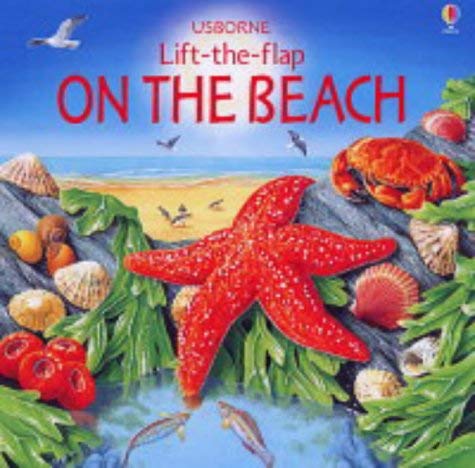 9780746061848: On the Beach (Lift the Flap Learners S.)