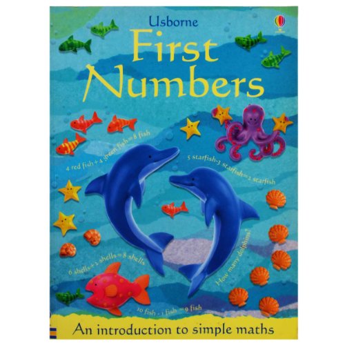 Imagen de archivo de First Numbers : An Introduction to Simple Maths a la venta por Better World Books: West