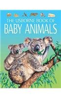Baby Animals: Young Nature - Litchfield, Jo