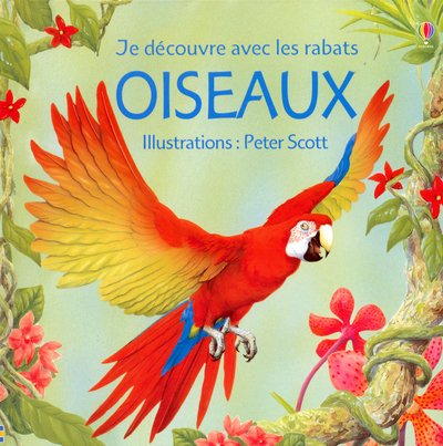 Beispielbild fr Les Oiseaux zum Verkauf von RECYCLIVRE