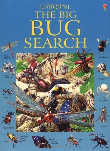 The Big Bug Search Great Searches By Caroline Young Ian