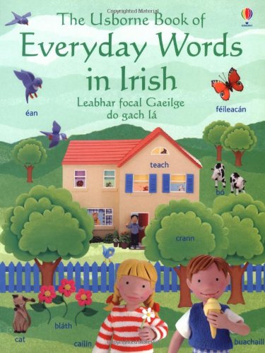 Beispielbild fr The Usborne Book of Everyday Words in Irish: Leabhar Focal Gaeilge Do Gach L. Jo Litchfield zum Verkauf von ThriftBooks-Atlanta