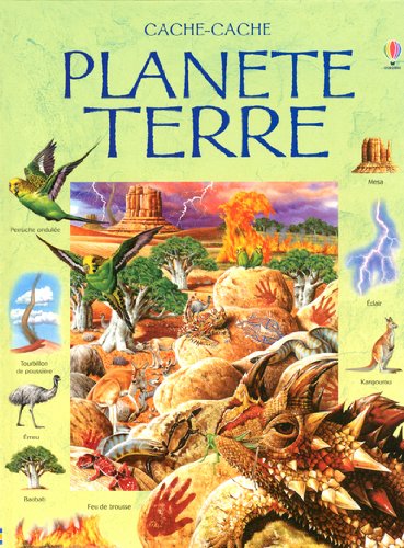 Stock image for Plante terre for sale by Ammareal