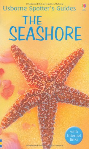 9780746073513: Seashore (Usborne Spotter's Guide)