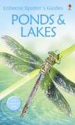 Beispielbild fr Ponds and Lakes (Usborne Spotter's Guide) zum Verkauf von AwesomeBooks
